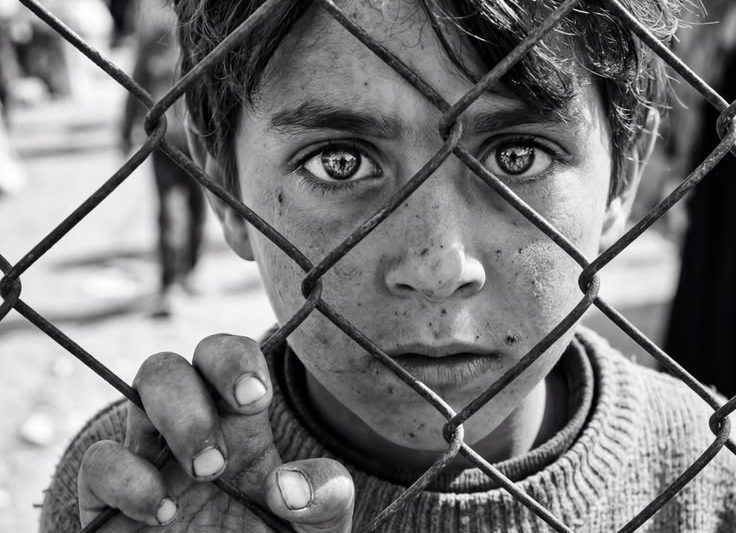 The Boy Behind the Fence