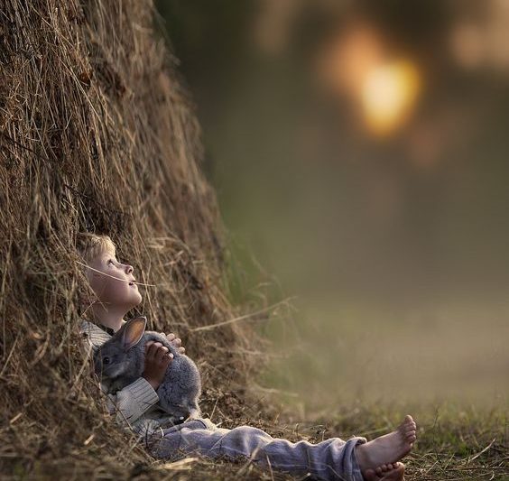 The Boy Who Talked to the Sky
