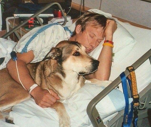 The Dog Who Stayed