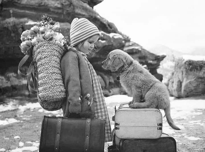 Everything She Could Carry