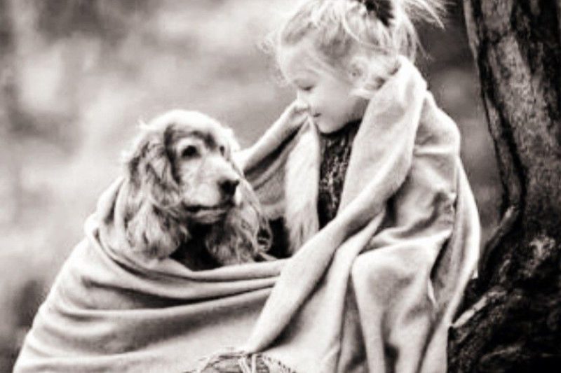 One Blanket for Two