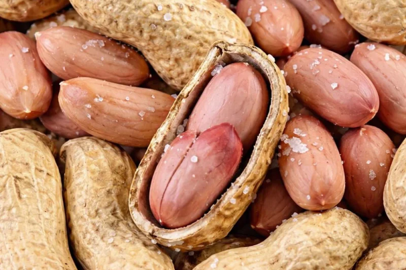 Health Benefits of Peanuts for Older Adults